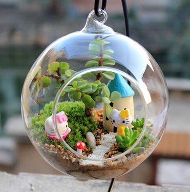 Terrarium